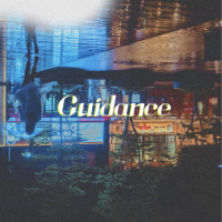 Guidance (Single)
