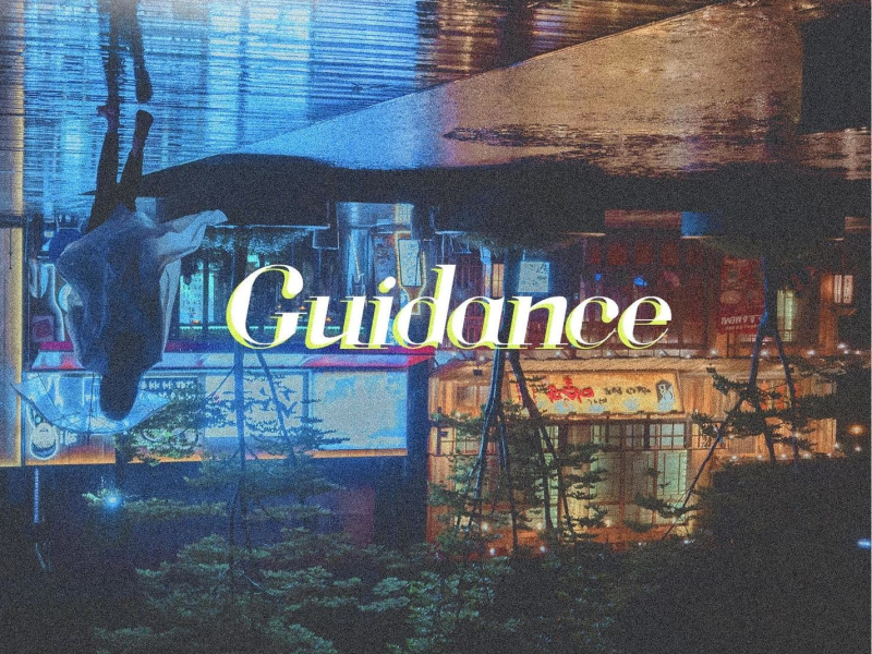 Guidance (Single)