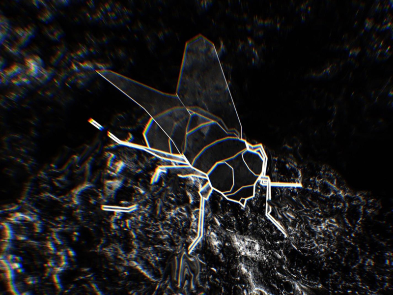 Ashghaldooni (Single)