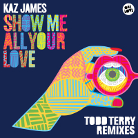 Show Me All Your Love (Todd Terry Remixes) (EP)
