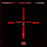 Gun Class II (Single)