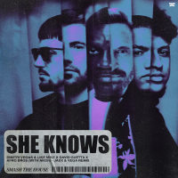 She Knows (with Akon) (Jaxx & Vega Remix) (EP)