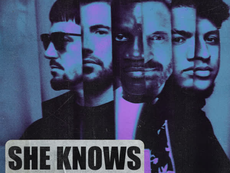 She Knows (with Akon) (Jaxx & Vega Remix) (EP)