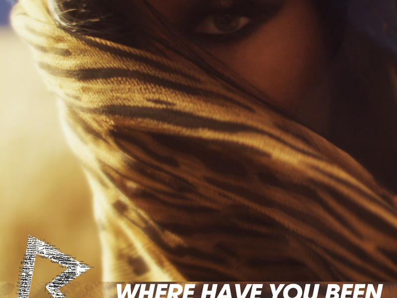 Where Have You Been (Remixes) (Single)