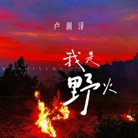 我是野火 (Single)