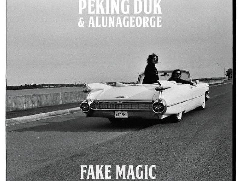 Fake Magic (Gigamesh Remix)