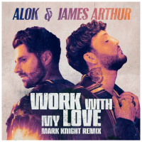 Work With My Love (Mark Knight Remix) (Single)