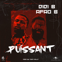 Puissant (Single)