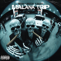 Malana Trip (Single)