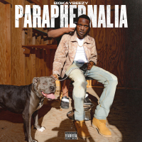 Paraphernalia (Single)