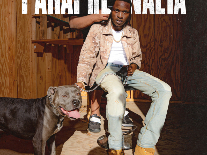 Paraphernalia (Single)