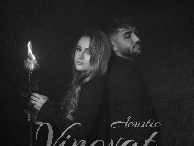 Vinovat (Acustic) (Single)