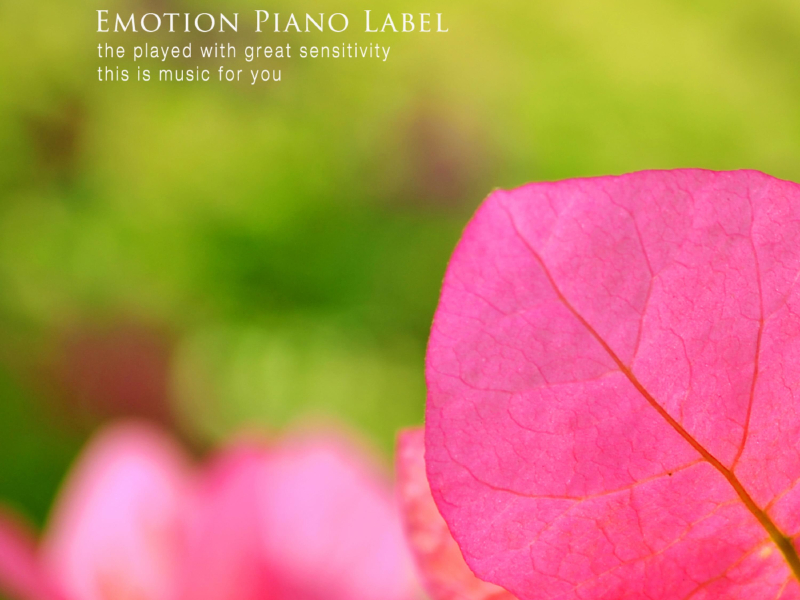 I love you more than anyone in the world (Single)