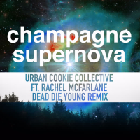 Champagne Supernova (Dead Die Young Remix) (Single)
