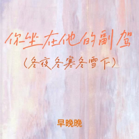 你坐在他的副驾 (冬夜冬寒冬雪下) (Single)