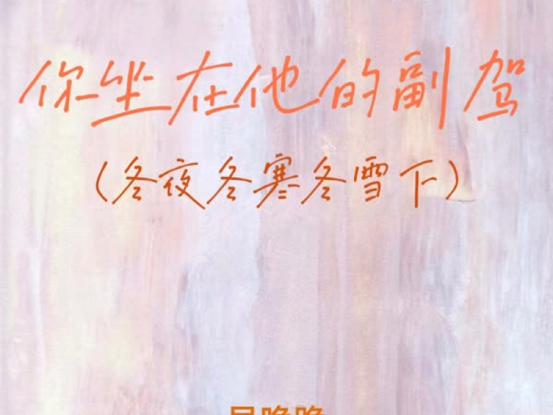 你坐在他的副驾 (冬夜冬寒冬雪下) (Single)