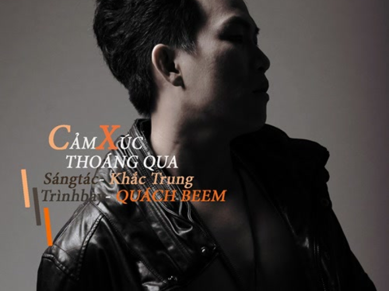 Cảm Xúc Thoáng Qua (Single)
