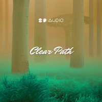 Clear Path (Single)