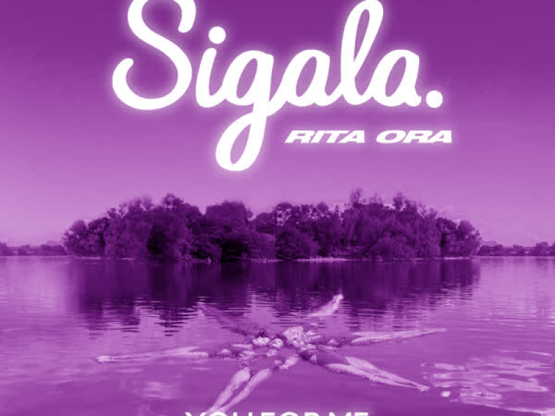 You for Me (Fedde Le Grand Remix) (Single)