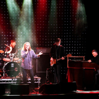 Af því bara (Single)