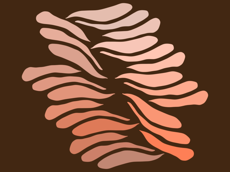 Turn the Page (Single)