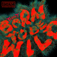 Born to be Wild (Feat. JYP) (Single)