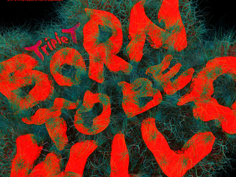 Born to be Wild (Feat. JYP) (Single)