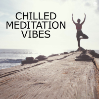 Chilled Meditation Vibes (Single)