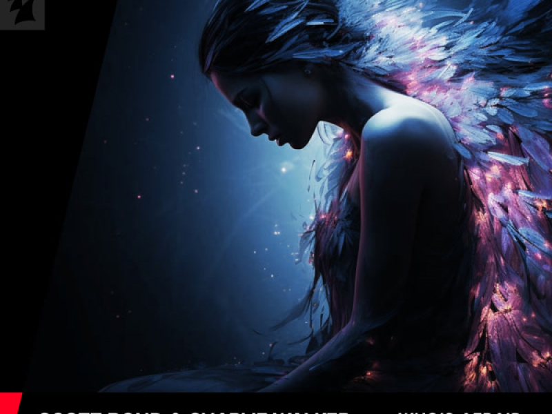 Sweet Release (Shugz Remix) (Single)