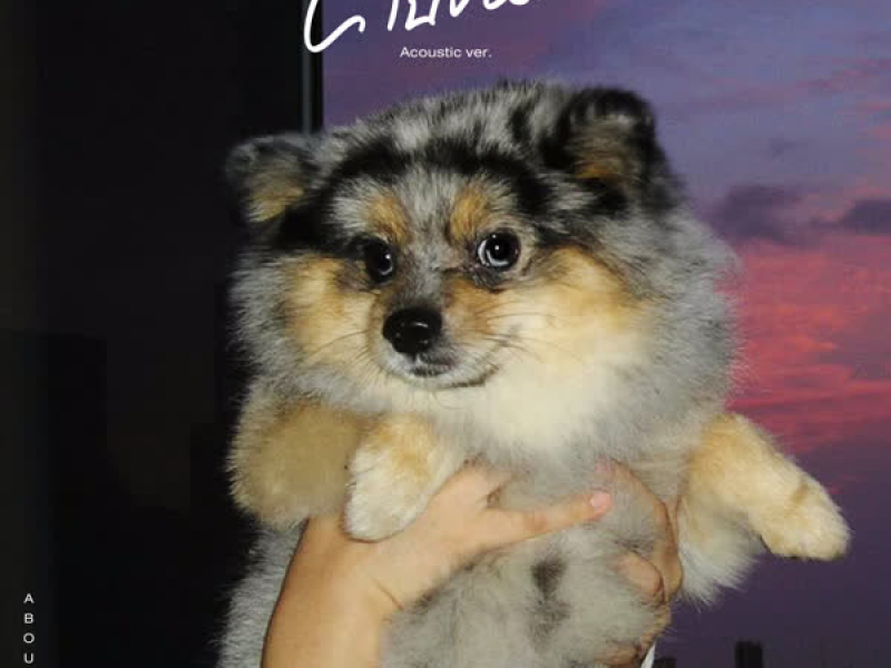 คนขี้หวง (Acoustic) (Single)