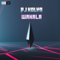 Wahala (Single)