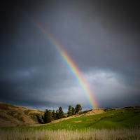 Peaceful After Rain Sounds of Nature for Instant Relaxation (Single)