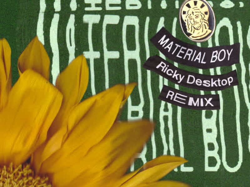 Material Boy (Ricky Desktop Remix) (Single)