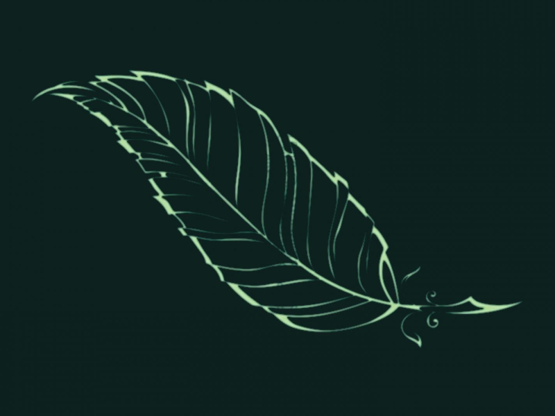 Open Letter (Single)