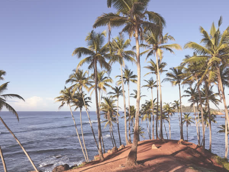 Verão Love (Sabor Original) (Single)