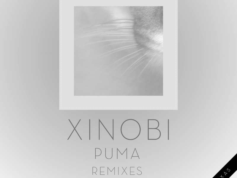 Puma (Remixes) (EP)