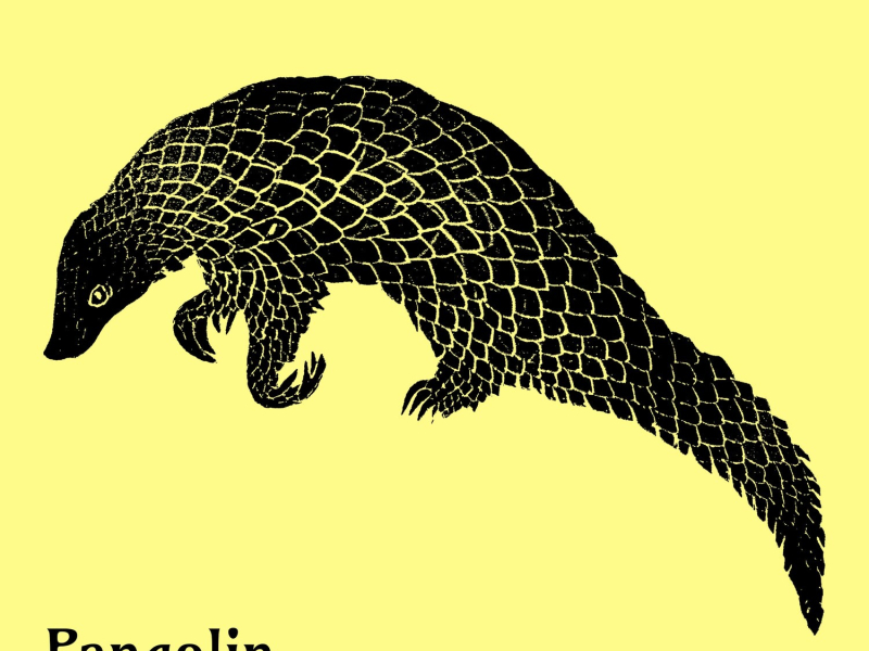 Pangolin (EP)