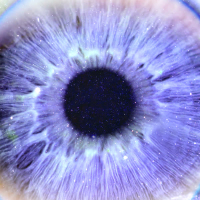 Glitter Eyes (feat. mindfreakkk) (Single)