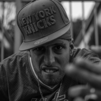 Fagdetta Diss (Single)