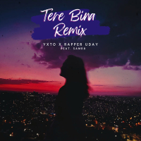 Tere Bina Remix (Single)