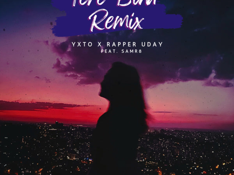 Tere Bina Remix (Single)