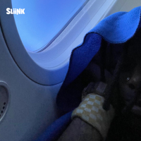 #miles (DJ Sliink Remix) (EP)