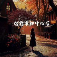 敬往事杯中沉浮 (接纳这无常语录) (Single)