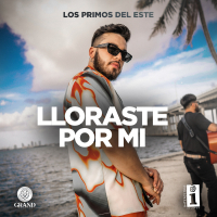 Lloraste Por Mi (Single)