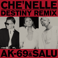 Destiny (Remix) (Single)