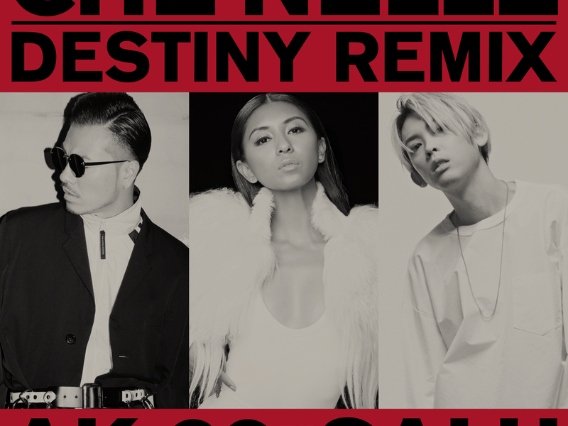 Destiny (Remix) (Single)