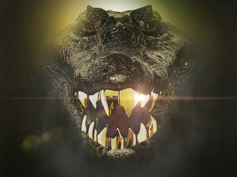 Face Alligator (Single)