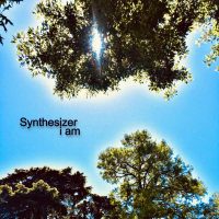 Synthesizer i am (with Franco Colombo) (Single)