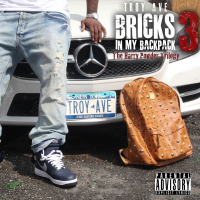 Bricks In My Backpack 3