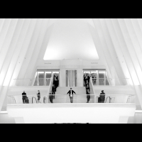 Connection (MV) (Single)